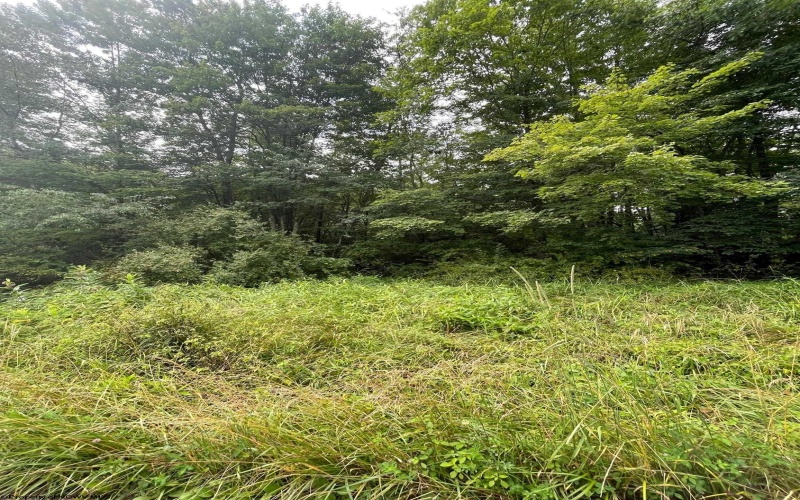 TBD Glassworks Road, Buckhannon, West Virginia 26201, ,Lots/land,For Sale,Glassworks,10163099