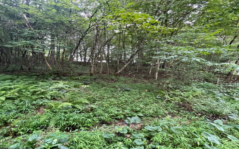 TBD Glassworks Road, Buckhannon, West Virginia 26201, ,Lots/land,For Sale,Glassworks,10163099