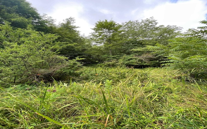 TBD Glassworks Road, Buckhannon, West Virginia 26201, ,Lots/land,For Sale,Glassworks,10163099