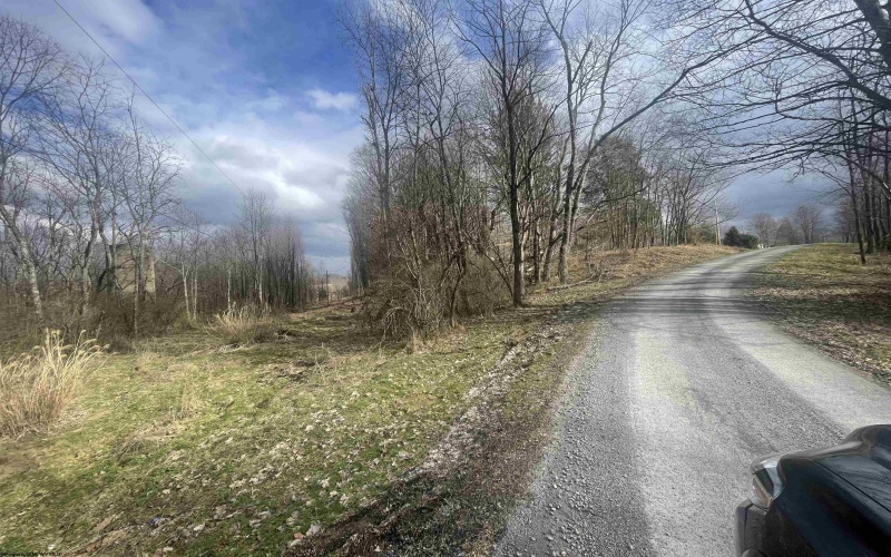 TBD Glassworks Road, Buckhannon, West Virginia 26201, ,Lots/land,For Sale,Glassworks,10163099