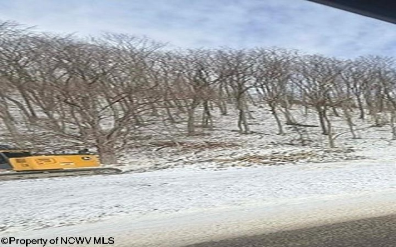 2511 Chenoweth Creek Road, Elkins, West Virginia 26241, ,Lots/land,For Sale,Chenoweth Creek,10163103