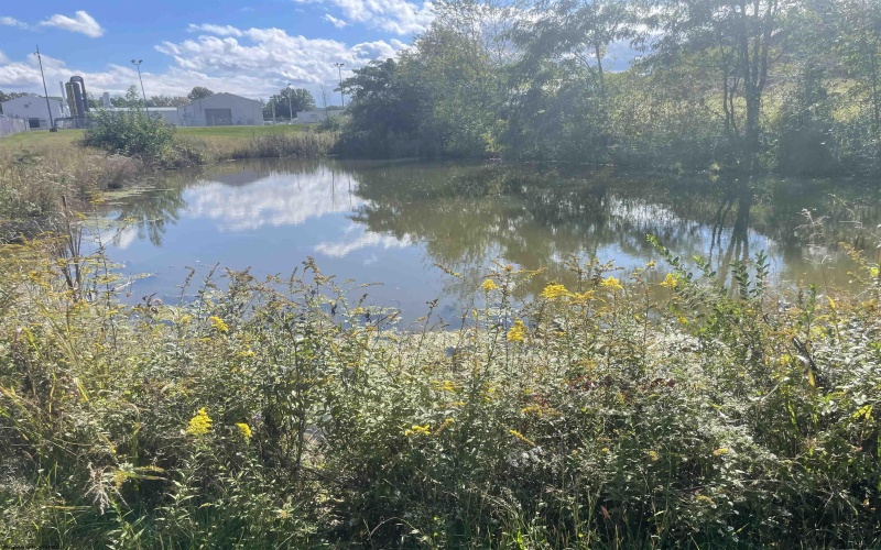 6622 Old Mill Road, Jane Lew, West Virginia 26378, ,Lots/land,For Sale,Old Mill,10163108 6622 Old Mill Road, Jane Lew, West Virginia 26378, ,Lots/land,For Sale,Old Mill,10163108