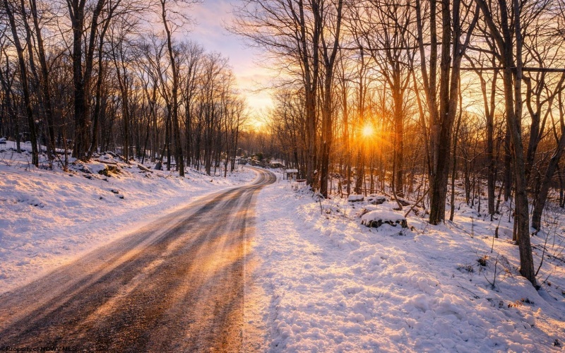 TBD Columbine Circle, Terra Alta, West Virginia 26764, ,Lots/land,For Sale,Columbine,10163131