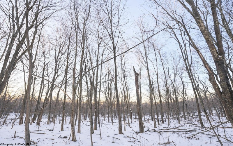 TBD Columbine Circle, Terra Alta, West Virginia 26764, ,Lots/land,For Sale,Columbine,10163131