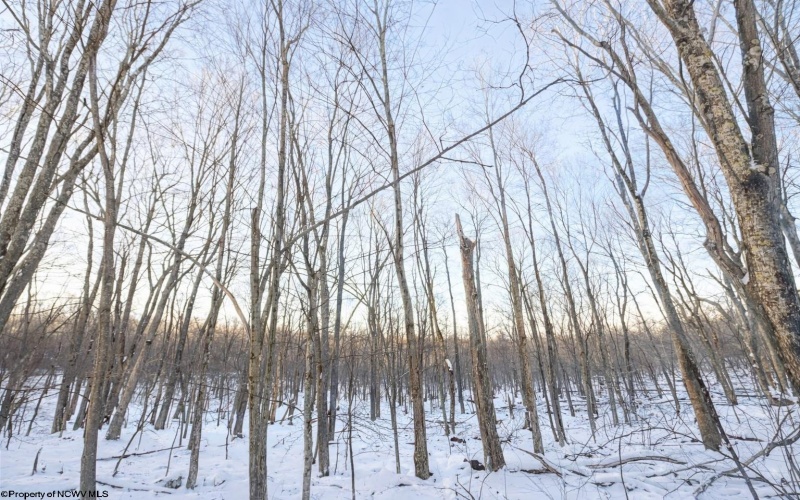 TBD Columbine Circle, Terra Alta, West Virginia 26764, ,Lots/land,For Sale,Columbine,10163131