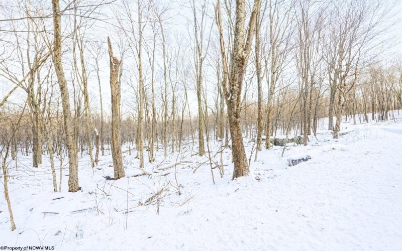 TBD Columbine Circle, Terra Alta, West Virginia 26764, ,Lots/land,For Sale,Columbine,10163131