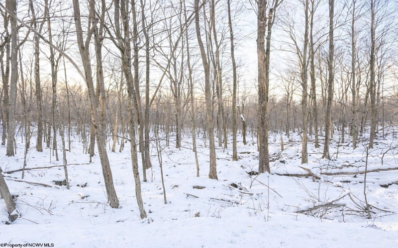 TBD Columbine Circle, Terra Alta, West Virginia 26764, ,Lots/land,For Sale,Columbine,10163131