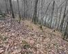 TBD Carrolton Road, Volga, West Virginia 26238, ,Lots/land,For Sale,Carrolton,10163126