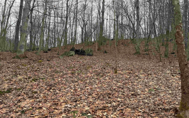 TBD Carrolton Road, Volga, West Virginia 26238, ,Lots/land,For Sale,Carrolton,10163126