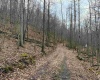 TBD Carrolton Road, Volga, West Virginia 26238, ,Lots/land,For Sale,Carrolton,10163126