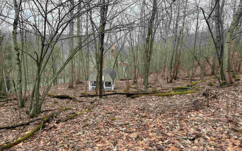 TBD Carrolton Road, Volga, West Virginia 26238, ,Lots/land,For Sale,Carrolton,10163126