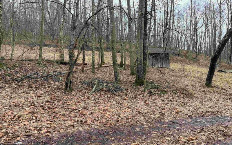 TBD Carrolton Road, Volga, West Virginia 26238, ,Lots/land,For Sale,Carrolton,10163126