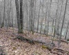 TBD Carrolton Road, Volga, West Virginia 26238, ,Lots/land,For Sale,Carrolton,10163126