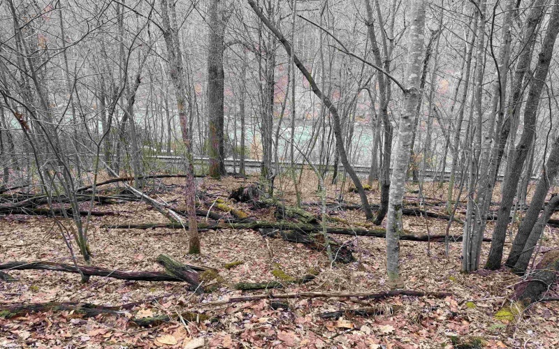 TBD Carrolton Road, Volga, West Virginia 26238, ,Lots/land,For Sale,Carrolton,10163126