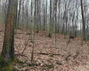 TBD Carrolton Road, Volga, West Virginia 26238, ,Lots/land,For Sale,Carrolton,10163126