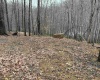 TBD Carrolton Road, Volga, West Virginia 26238, ,Lots/land,For Sale,Carrolton,10163126