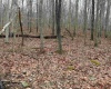 TBD Carrolton Road, Volga, West Virginia 26238, ,Lots/land,For Sale,Carrolton,10163126