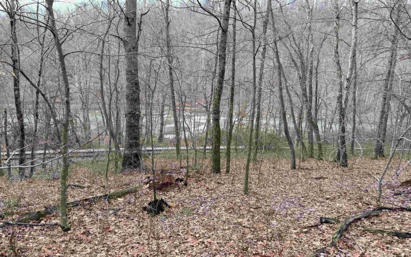 TBD Carrolton Road, Volga, West Virginia 26238, ,Lots/land,For Sale,Carrolton,10163126