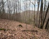 TBD Carrolton Road, Volga, West Virginia 26238, ,Lots/land,For Sale,Carrolton,10163126
