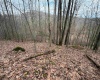 TBD Carrolton Road, Volga, West Virginia 26238, ,Lots/land,For Sale,Carrolton,10163126