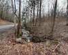 TBD Carrolton Road, Volga, West Virginia 26238, ,Lots/land,For Sale,Carrolton,10163126