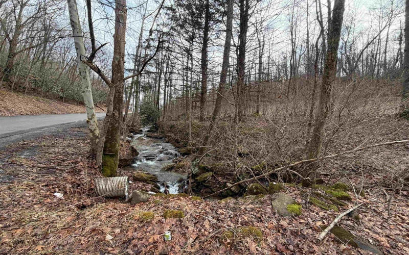 TBD Carrolton Road, Volga, West Virginia 26238, ,Lots/land,For Sale,Carrolton,10163126