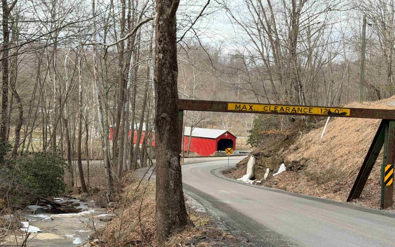 TBD Carrolton Road, Volga, West Virginia 26238, ,Lots/land,For Sale,Carrolton,10163126