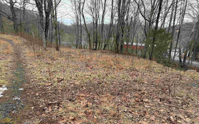 TBD Carrolton Road, Volga, West Virginia 26238, ,Lots/land,For Sale,Carrolton,10163126