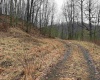 TBD Carrolton Road, Volga, West Virginia 26238, ,Lots/land,For Sale,Carrolton,10163126