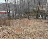 TBD Carrolton Road, Volga, West Virginia 26238, ,Lots/land,For Sale,Carrolton,10163126