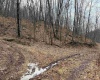 TBD Carrolton Road, Volga, West Virginia 26238, ,Lots/land,For Sale,Carrolton,10163126
