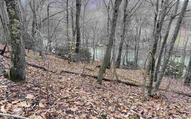 TBD Carrolton Road, Volga, West Virginia 26238, ,Lots/land,For Sale,Carrolton,10163126