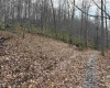 TBD Carrolton Road, Volga, West Virginia 26238, ,Lots/land,For Sale,Carrolton,10163126