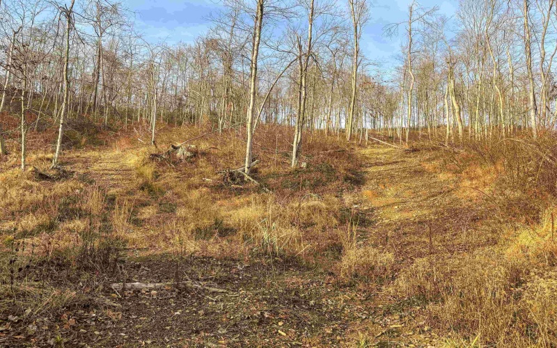 Lot 1 River Run Road, Fairmont, West Virginia 26554, ,Lots/land,For Sale,River Run,10163124