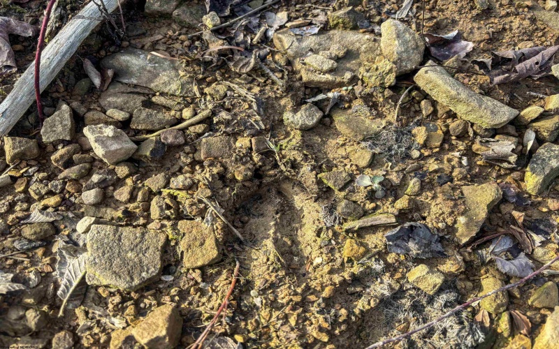 Lot 1 River Run Road, Fairmont, West Virginia 26554, ,Lots/land,For Sale,River Run,10163124