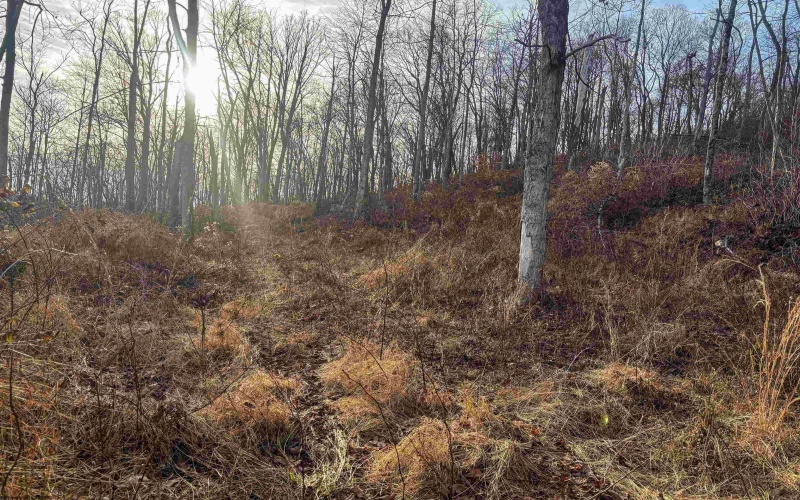 Lot 1 River Run Road, Fairmont, West Virginia 26554, ,Lots/land,For Sale,River Run,10163124