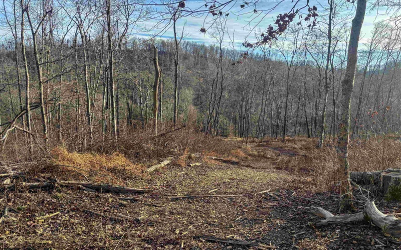 Lot 1 River Run Road, Fairmont, West Virginia 26554, ,Lots/land,For Sale,River Run,10163124