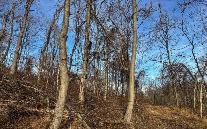 Lot 1 River Run Road, Fairmont, West Virginia 26554, ,Lots/land,For Sale,River Run,10163124