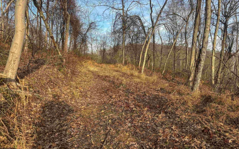 Lot 1 River Run Road, Fairmont, West Virginia 26554, ,Lots/land,For Sale,River Run,10163124