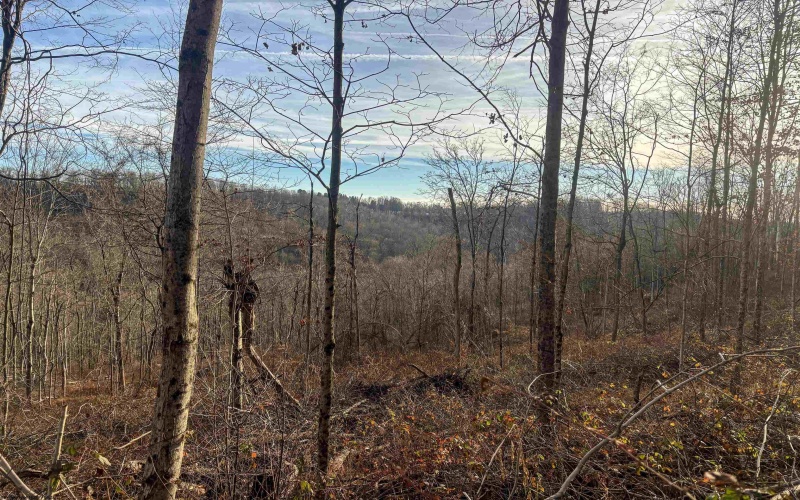 Lot 1 River Run Road, Fairmont, West Virginia 26554, ,Lots/land,For Sale,River Run,10163124