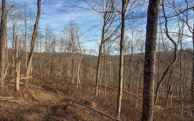 Lot 1 River Run Road, Fairmont, West Virginia 26554, ,Lots/land,For Sale,River Run,10163124