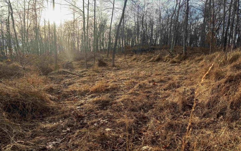 Lot 1 River Run Road, Fairmont, West Virginia 26554, ,Lots/land,For Sale,River Run,10163124