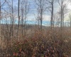 Lot 1 River Run Road, Fairmont, West Virginia 26554, ,Lots/land,For Sale,River Run,10163124