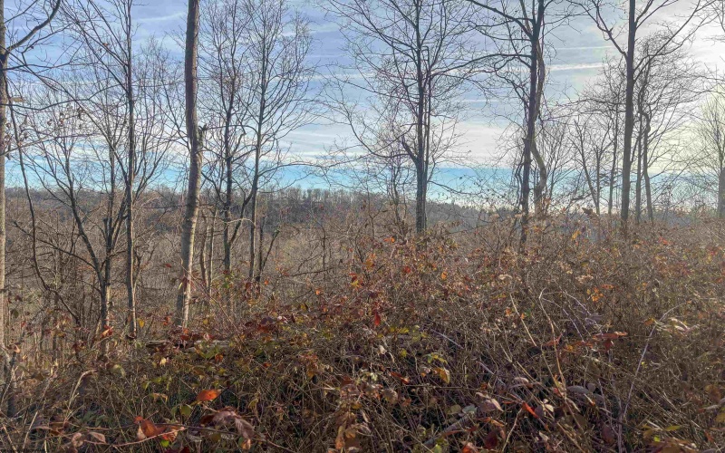 Lot 1 River Run Road, Fairmont, West Virginia 26554, ,Lots/land,For Sale,River Run,10163124