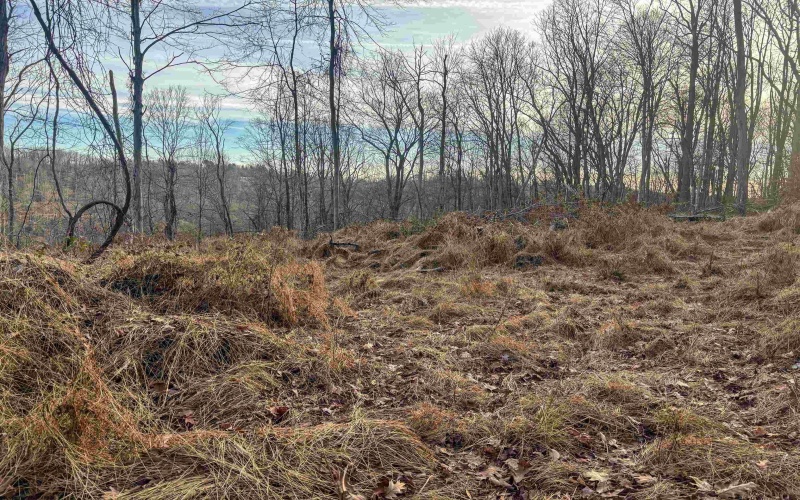 Lot 1 River Run Road, Fairmont, West Virginia 26554, ,Lots/land,For Sale,River Run,10163124