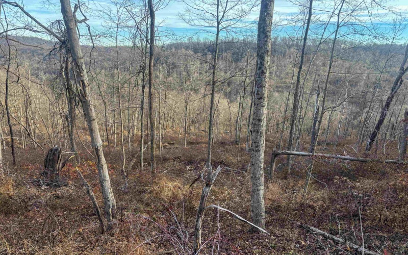 Lot 1 River Run Road, Fairmont, West Virginia 26554, ,Lots/land,For Sale,River Run,10163124