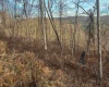 Lot 1 River Run Road, Fairmont, West Virginia 26554, ,Lots/land,For Sale,River Run,10163124