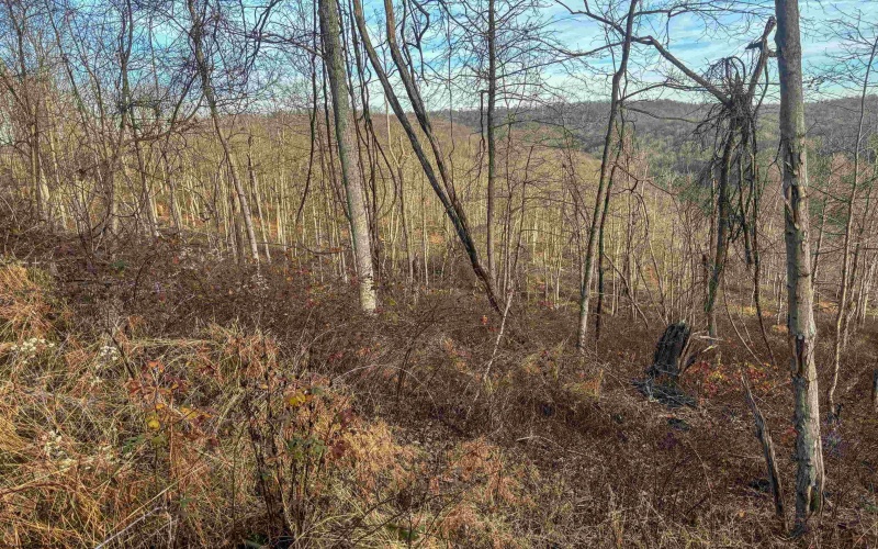 Lot 1 River Run Road, Fairmont, West Virginia 26554, ,Lots/land,For Sale,River Run,10163124