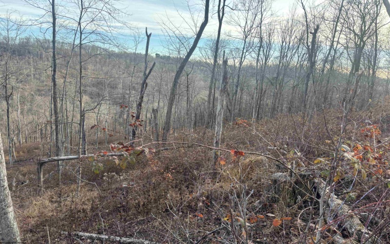 Lot 1 River Run Road, Fairmont, West Virginia 26554, ,Lots/land,For Sale,River Run,10163124