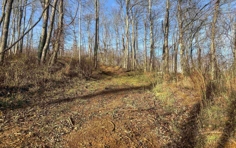 Lot 1 River Run Road, Fairmont, West Virginia 26554, ,Lots/land,For Sale,River Run,10163124